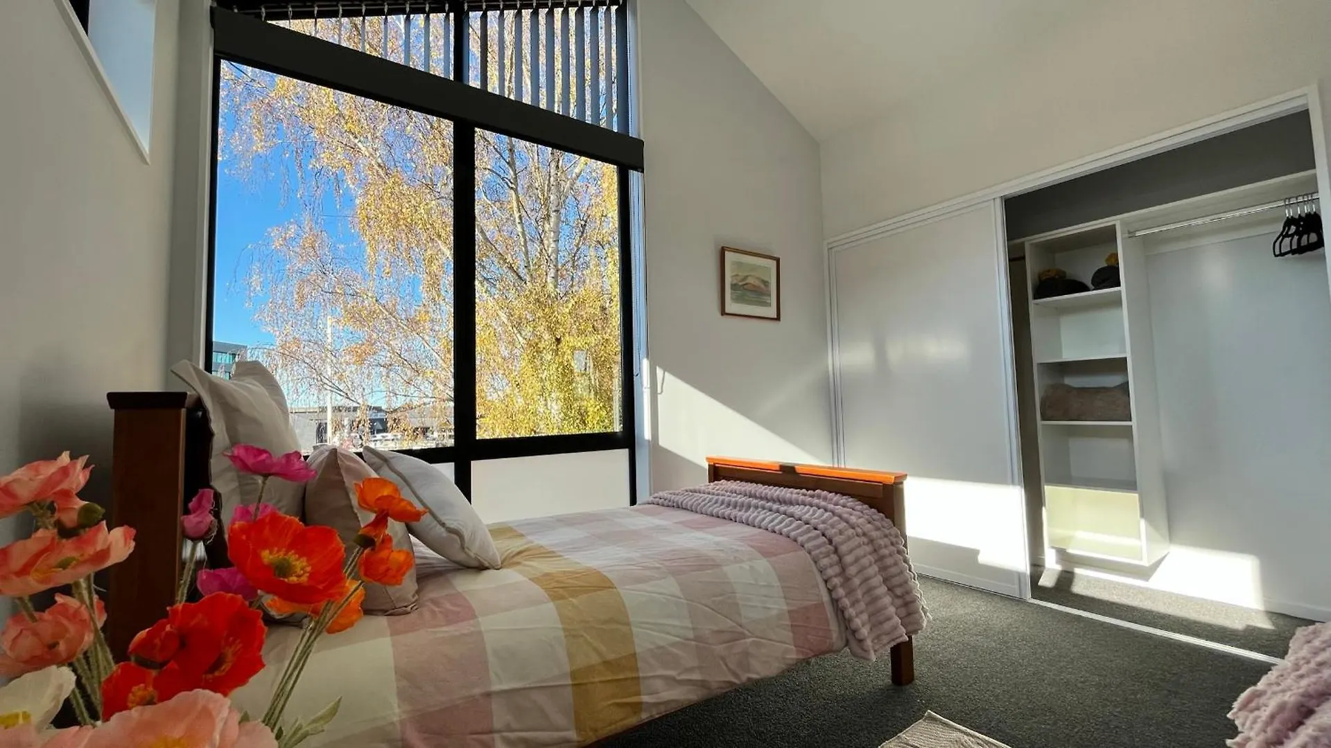 Luxury 2 Bedroom By St James Park Крайстчёрч 0*,  Новая Зеландия